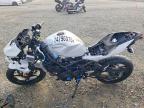2025 Kawasaki EX500 H