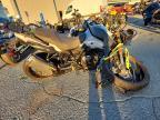 2023 Suzuki DL800DE RC
