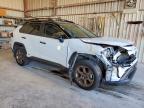 2024 Toyota Rav4 Woodland Edition
