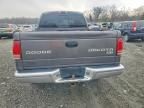 2004 Dodge Dakota Quad slt