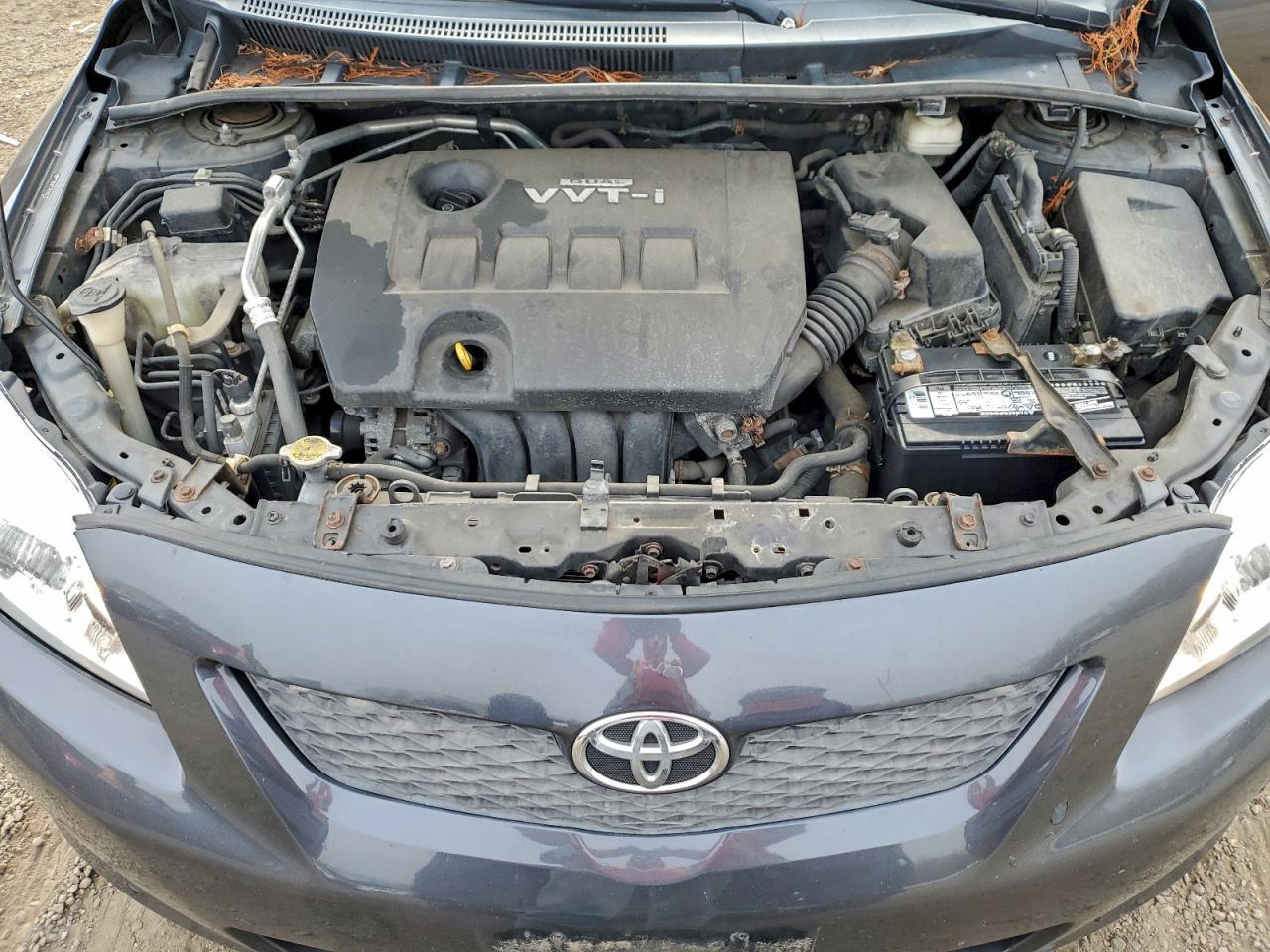 2010 Toyota Corolla Base