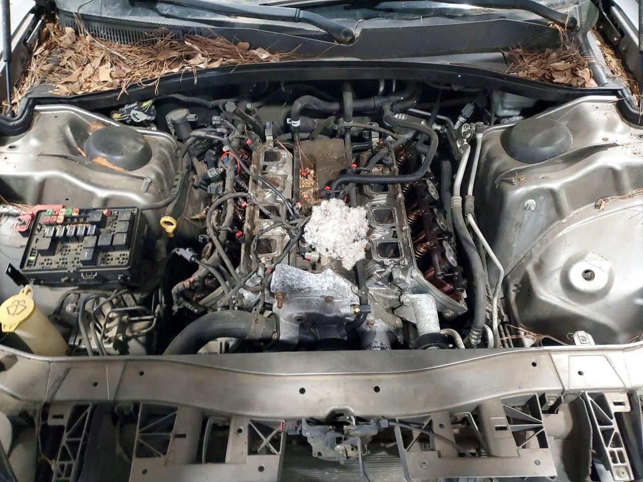 2011 Dodge Charger R/T