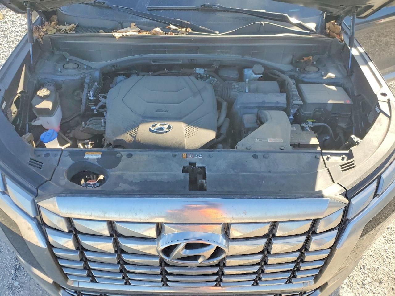 2024 Hyundai Palisade Calligraphy