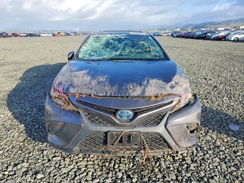 2019 Toyota Camry Hybrid