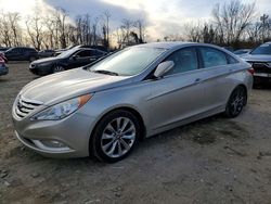 Vehiculos salvage en venta de Copart Baltimore, MD: 2011 Hyundai Sonata se