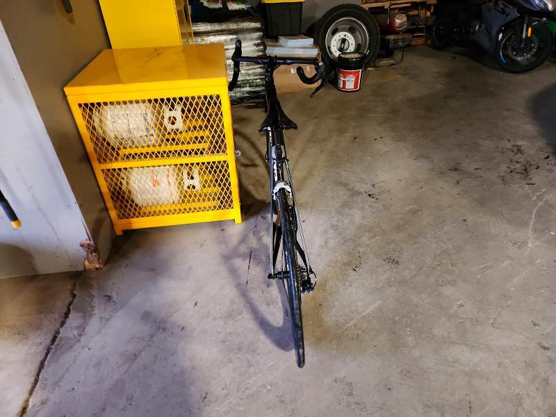 2019 Trek Standard