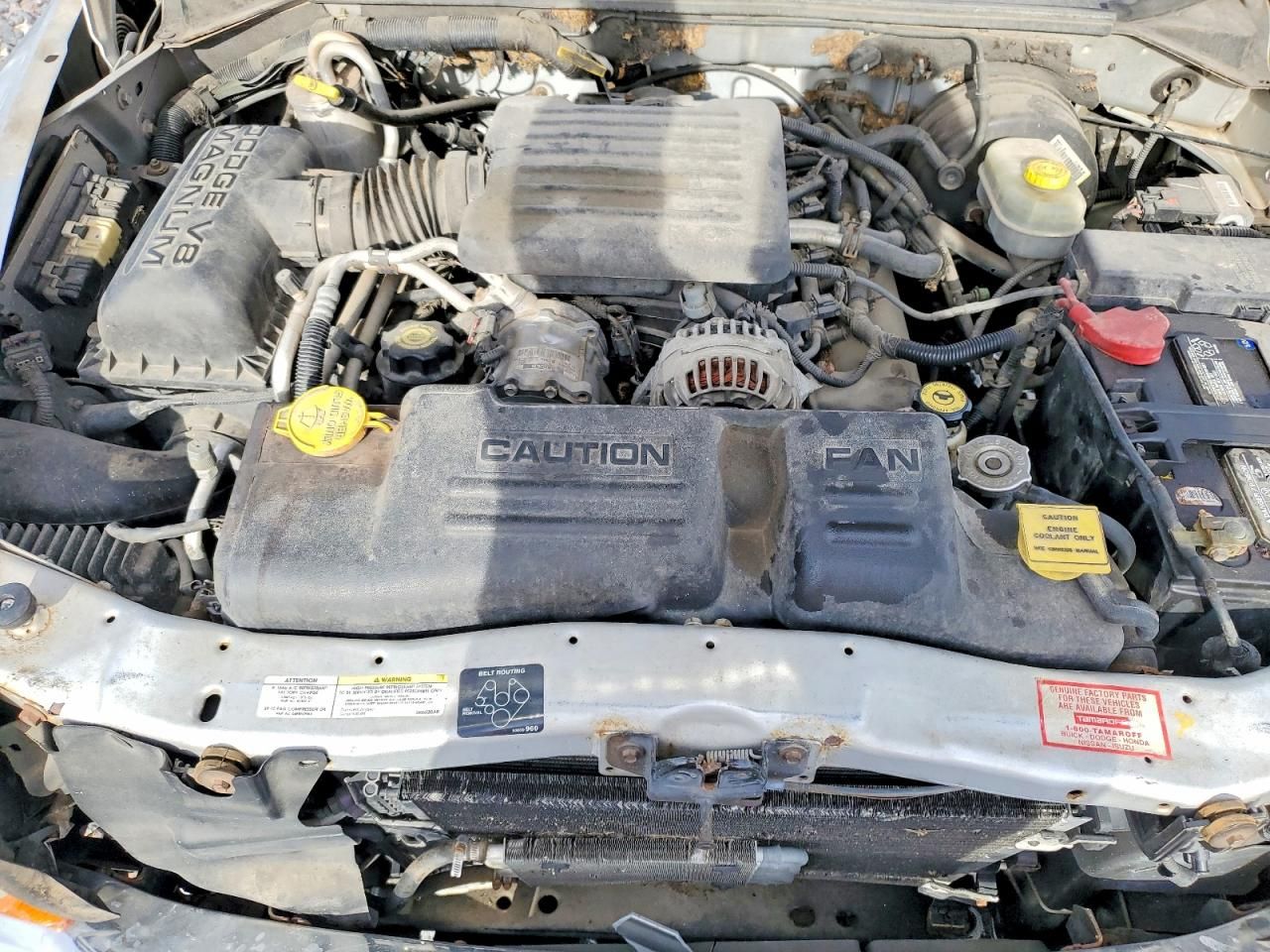 2002 Dodge Dakota Quad slt