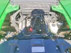 2025 Kawasaki Teryx 4 Utility Vehicle