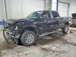 2014 Ford F150 Supercrew en venta en Ham Lake, MN