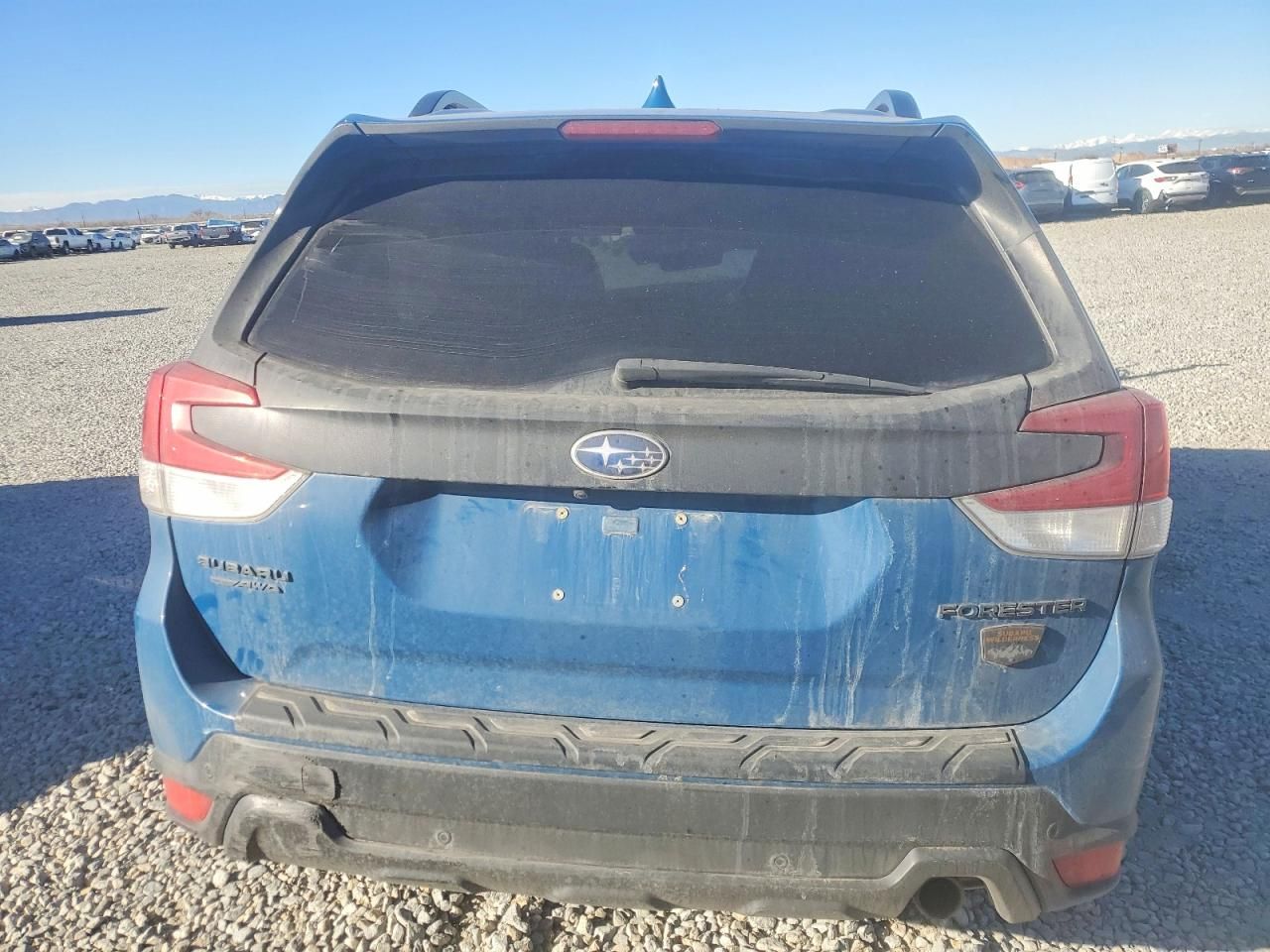 2022 Subaru Forester Wilderness