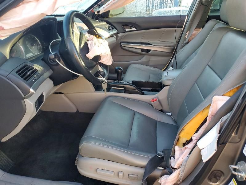 2010 Honda Accord exl