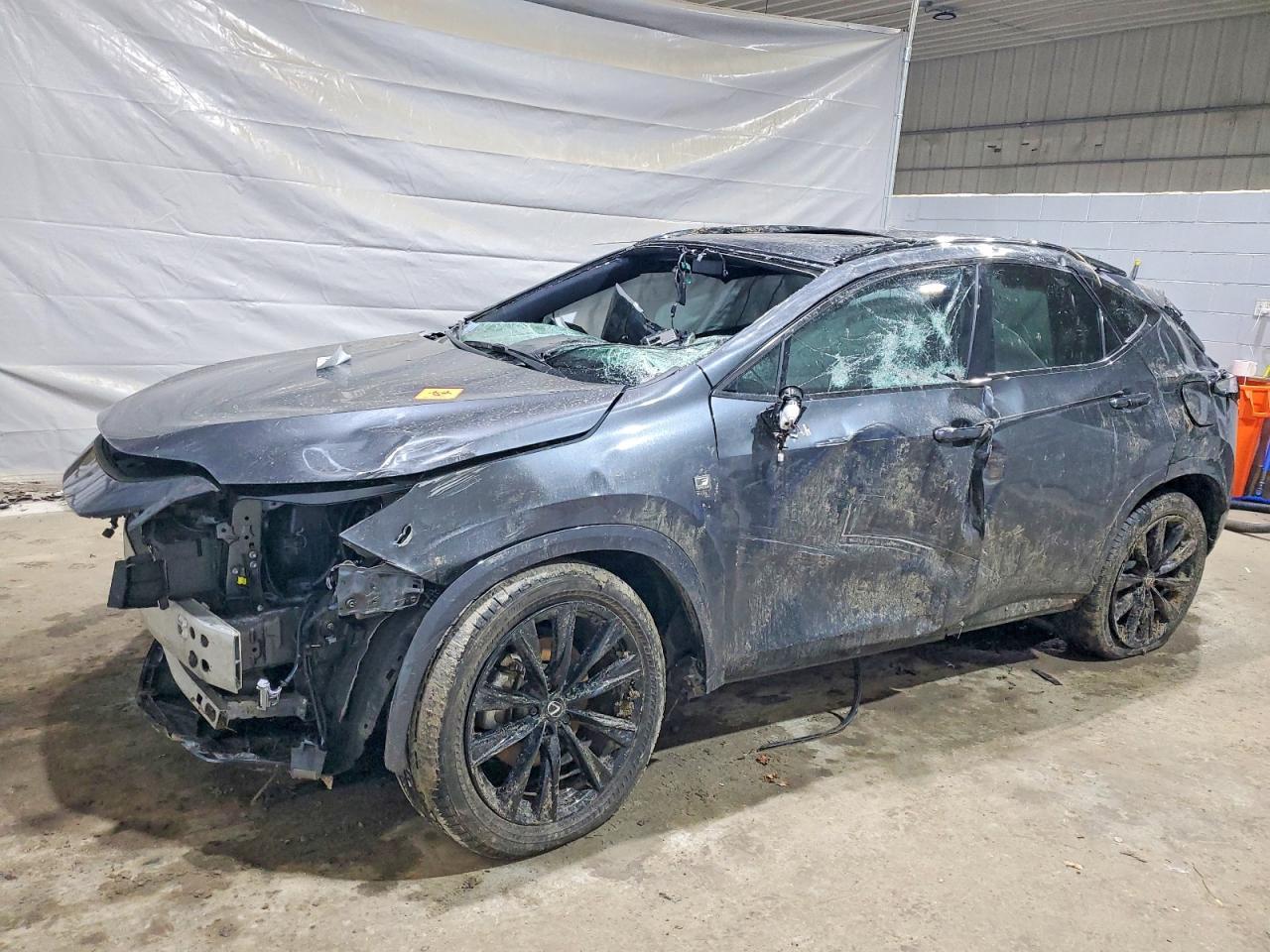 2025 Lexus Nx 350