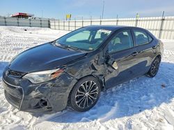 Toyota salvage cars for sale: 2014 Toyota Corolla