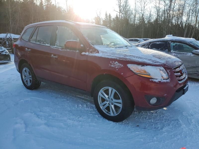 2010 Hyundai Santa fe se