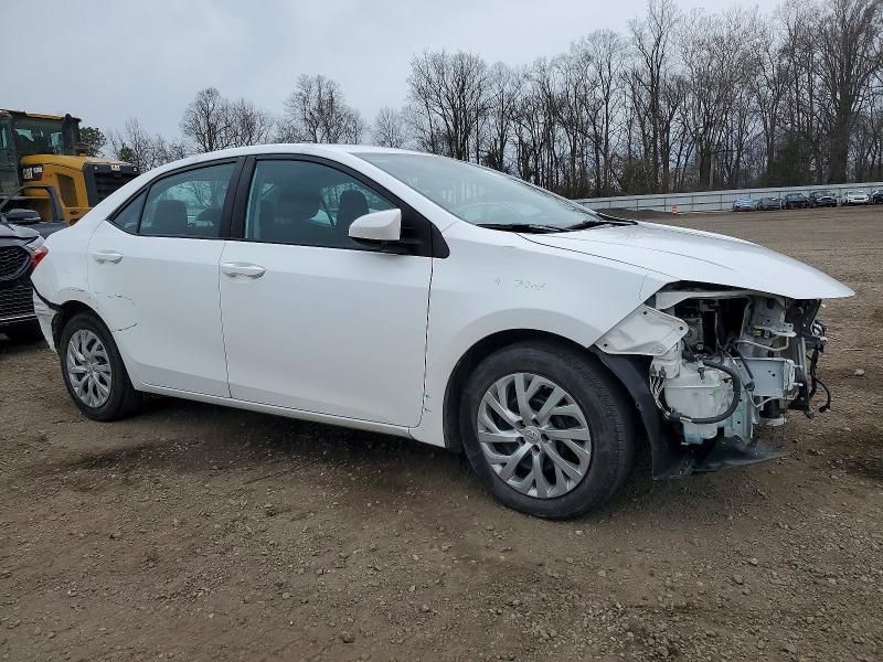 2019 Toyota Corolla l