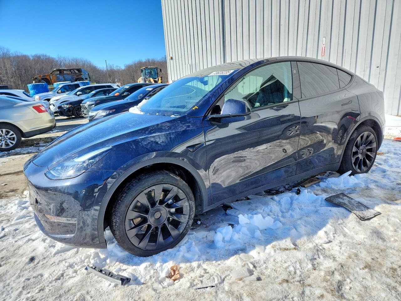 2025 Tesla Model y
