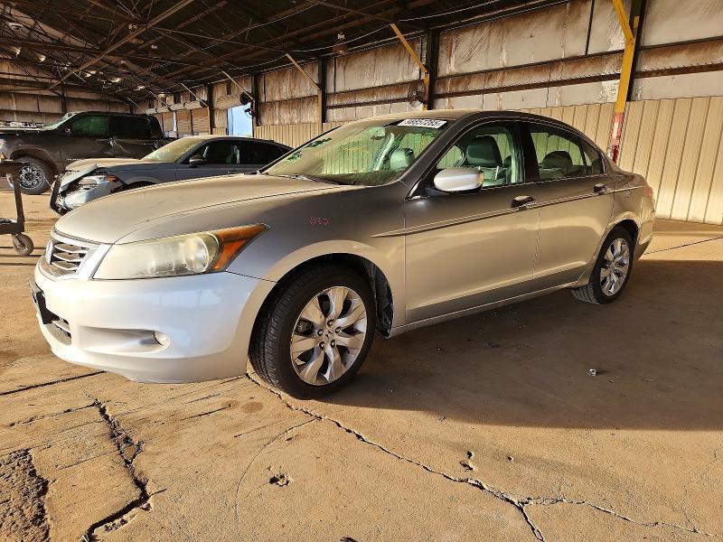 2010 Honda Accord exl
