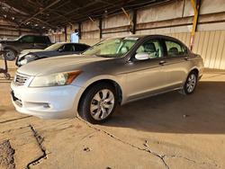 2010 Honda Accord exl en venta en Phoenix, AZ