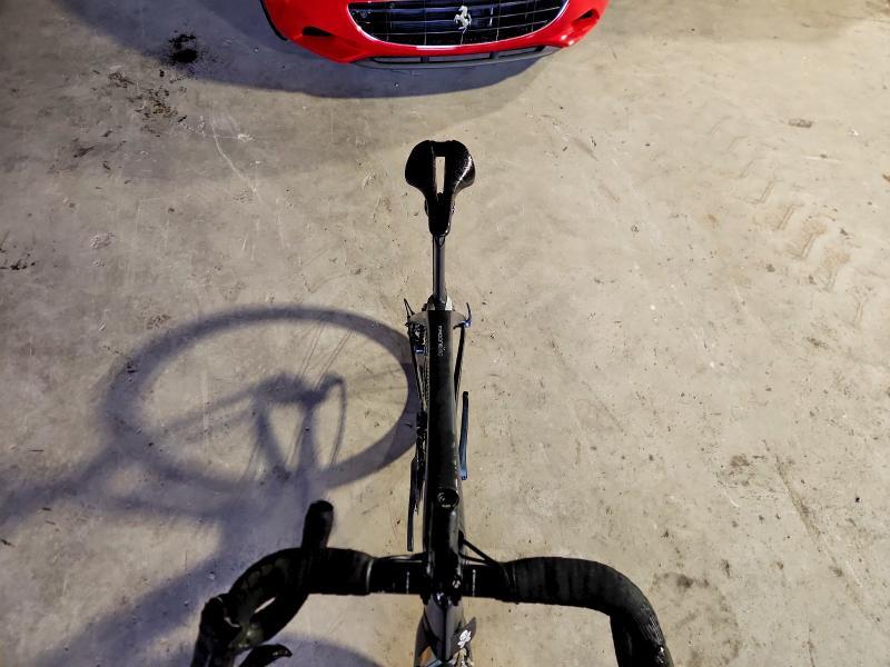 2019 Trek Standard
