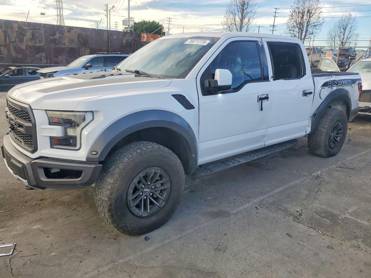 2019 Ford F150 Raptor