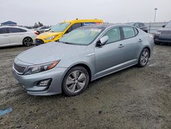 KIA Optima Vehiculos salvage en venta: 2016 KIA Optima Hybrid