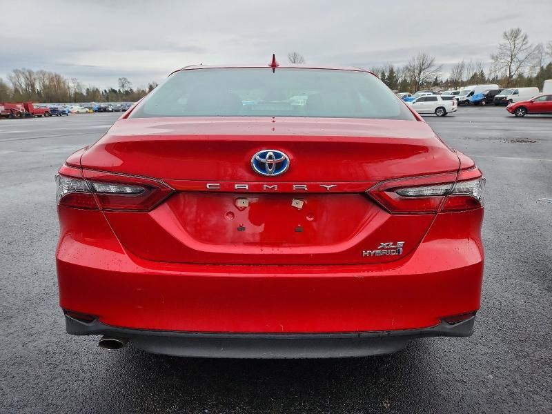 2024 Toyota Camry xle
