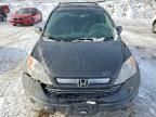 2009 Honda Cr-v exl