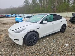 Tesla salvage cars for sale: 2021 Tesla Model y