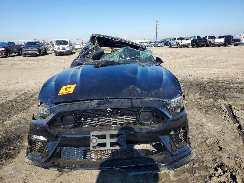 2019 Ford Mustang gt