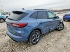 2024 Ford Escape st Line