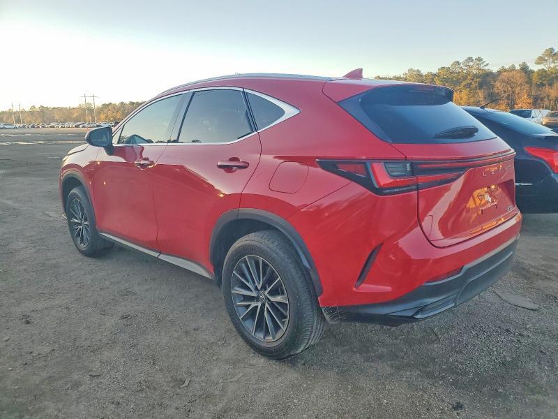 2023 Lexus NX