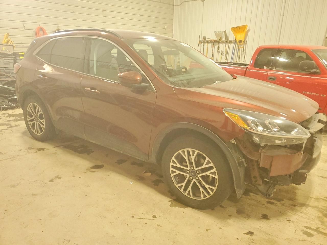 2021 Ford Escape sel