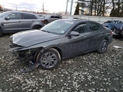 Hyundai Elantra salvage cars for sale: 2024 Hyundai Elantra sel
