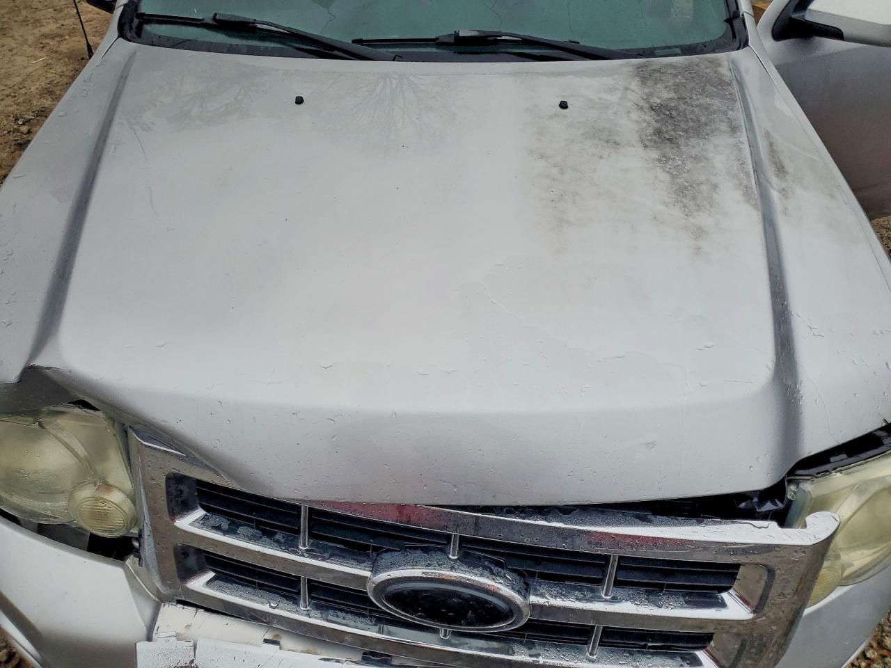 2010 Ford Escape Limited