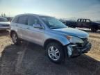 2010 Honda Cr-v exl
