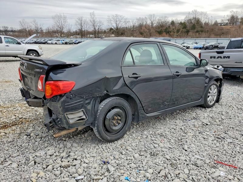 2010 Toyota Corolla Base