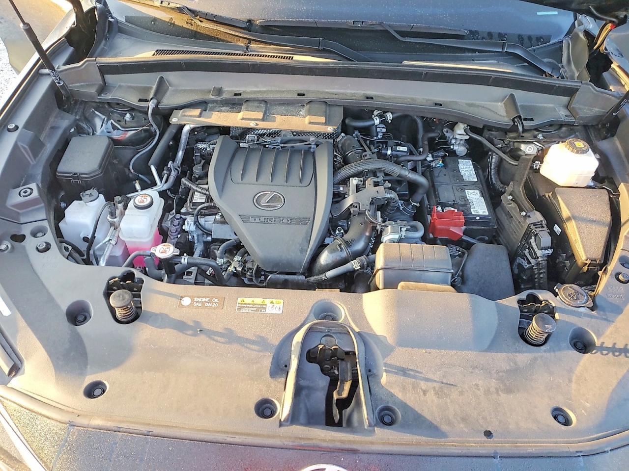 2025 Lexus Tx 350 Base