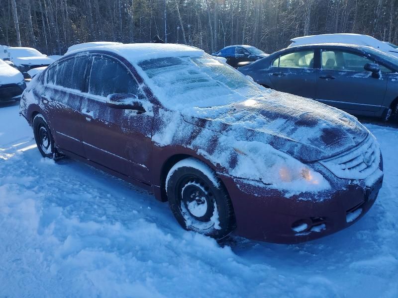 2010 Nissan Altima Base
