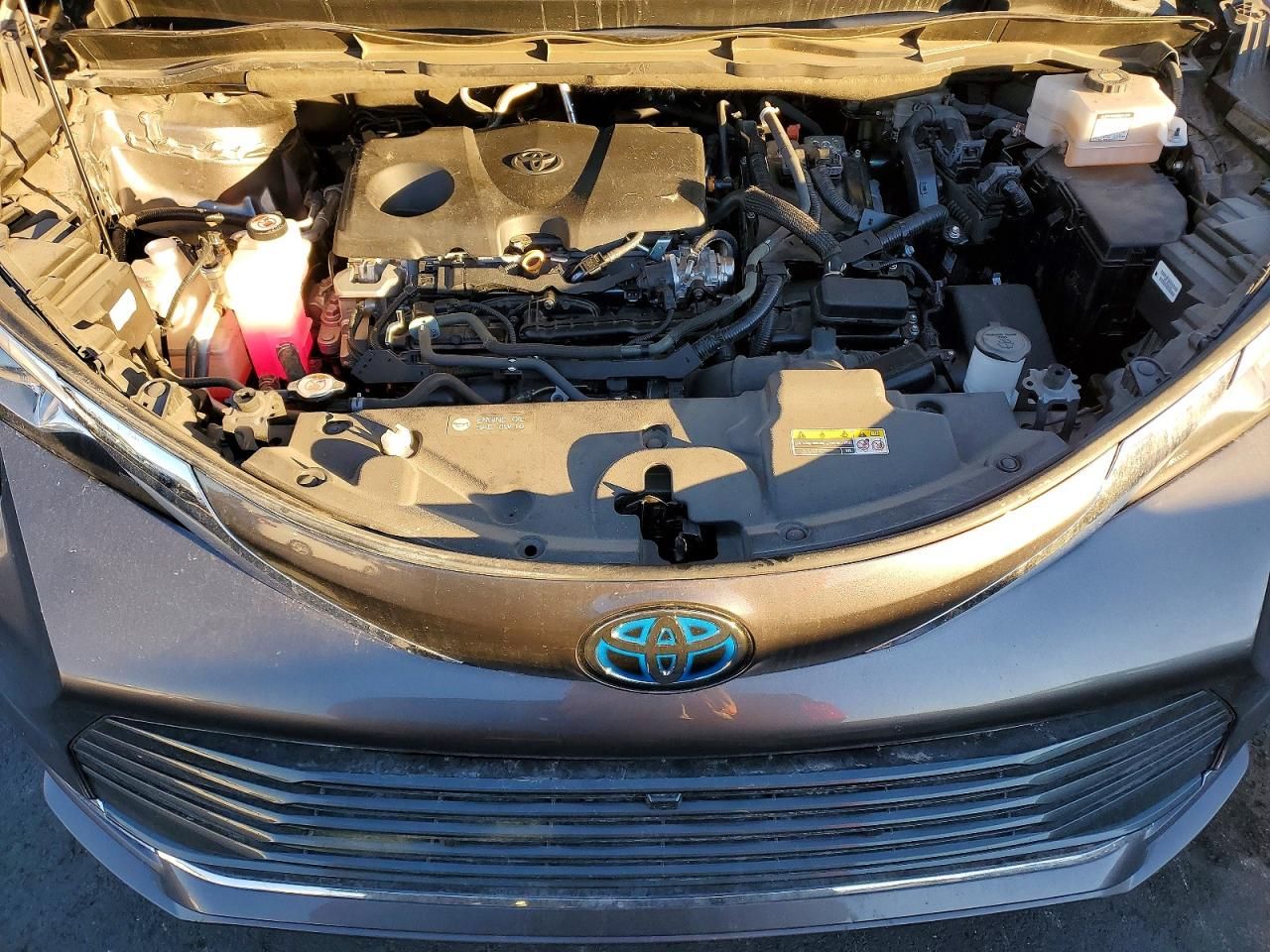 2024 Toyota Sienna Limited