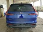 2025 Honda Cr-v Sport