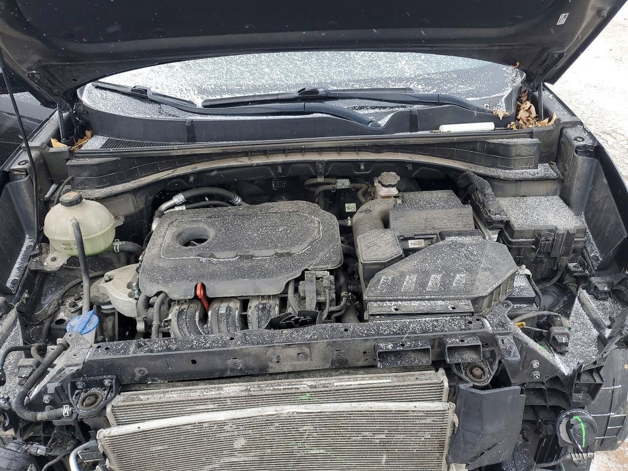 2020 KIA Sportage lx