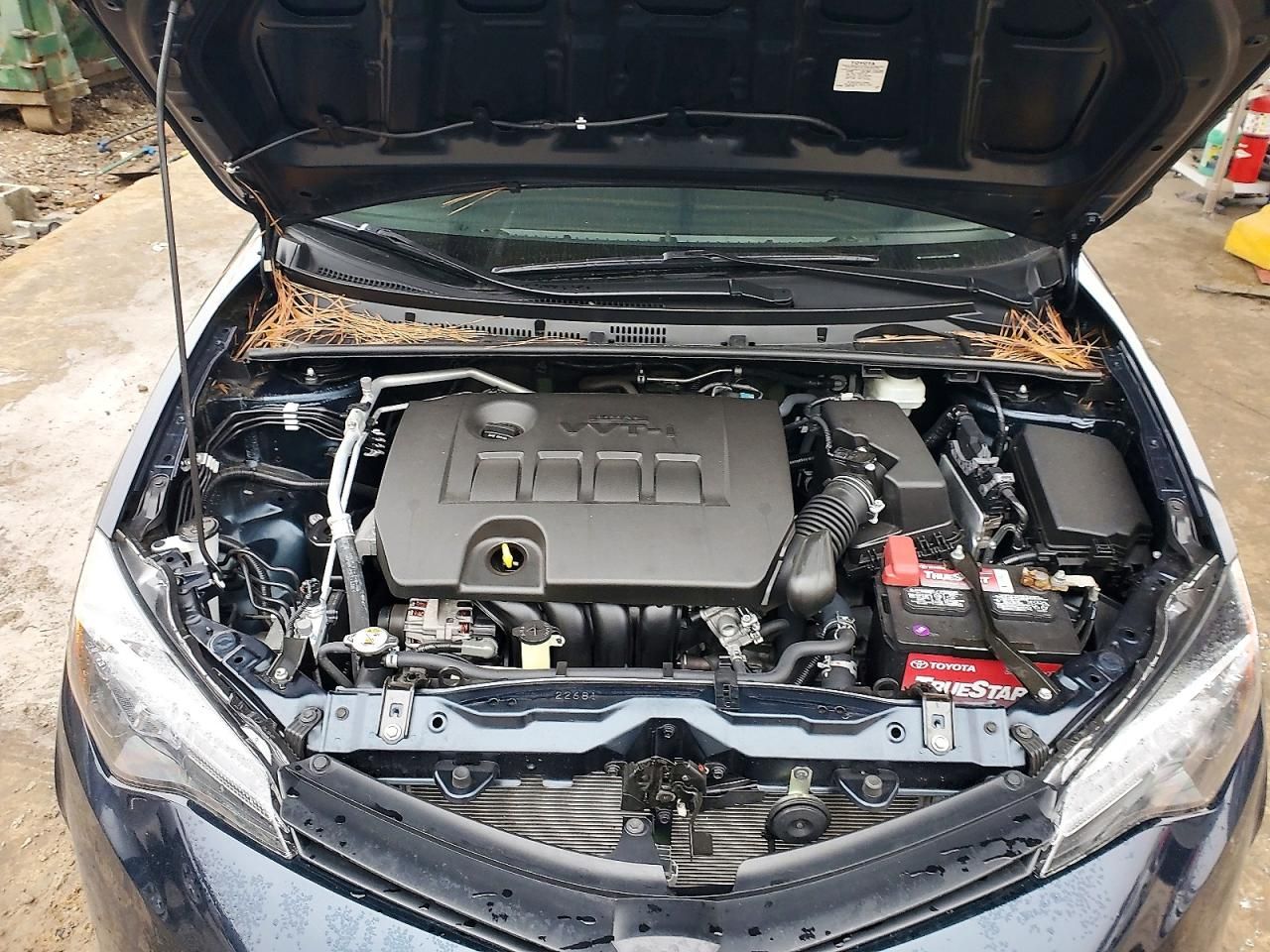 2019 Toyota Corolla l