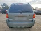2006 Ford Escape hev