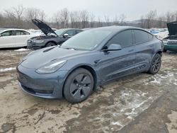 Salvage cars for sale from Copart Marlboro, NY: 2021 Tesla Model 3