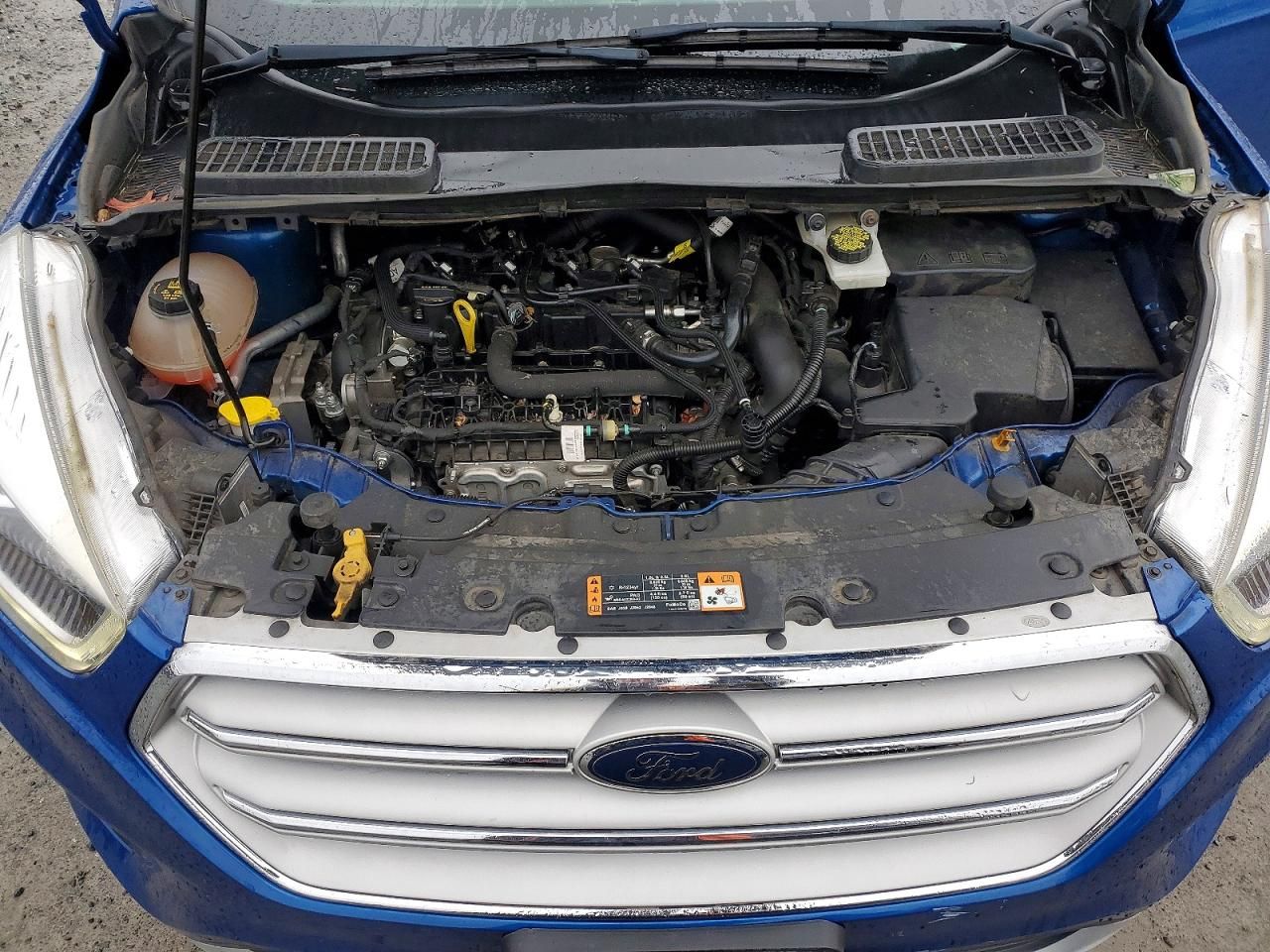 2019 Ford Escape sel