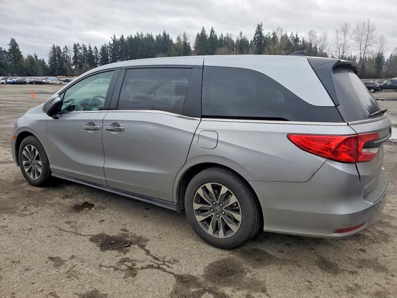 2024 Honda Odyssey exl