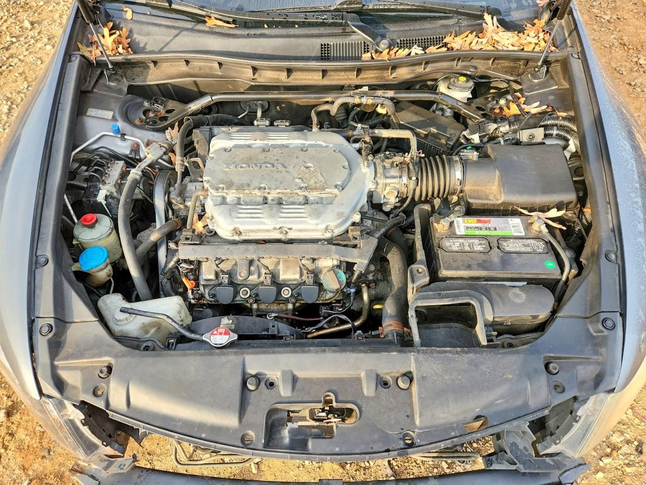 2010 Honda Accord ex