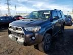 2019 Toyota 4runner Sr5/sr5 Premium