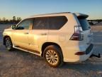 2016 Lexus Gx 460