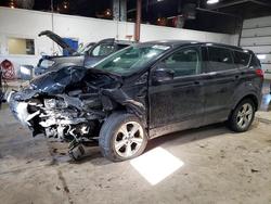 Ford salvage cars for sale: 2014 Ford Escape se